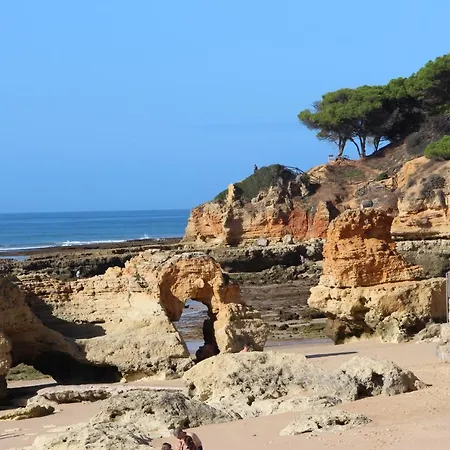 Ocean And Pool Apartment *