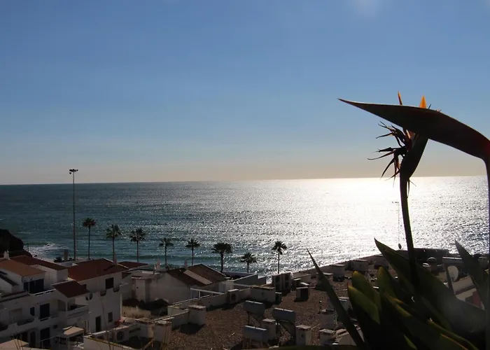 Ocean And Pool アパート *